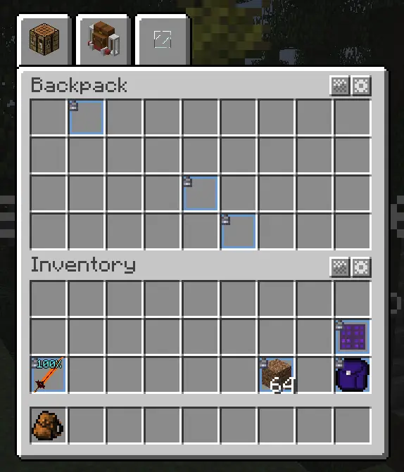 Pinnable inventory and backpack slots